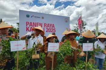 Pemkab-PGE Lahendong tingkatkan sinergi jaga ketahanan pangan