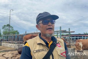 Ketersediaan hewan ternak di Kabupaten Batanghari meningkat
