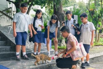 Pulau Kucing di Pulau Seribu berisiko ganggu ekosistem