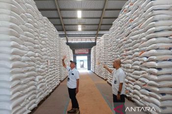 Stok beras NTB aman hingga musim panen padi tahun depan