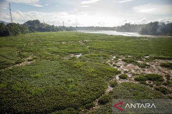 Sungai Citarum dipenuhi sampah dan eceng gondok