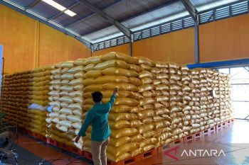 Bulog Sultra siapkan penyaluran bantuan beras dan minyak goreng untuk 360 ribu penerima