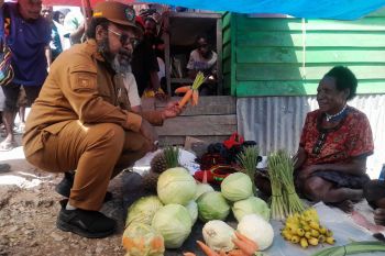 Pemkab pastikan harga bahan pokok terjangkau oleh masyarakat Tolikara