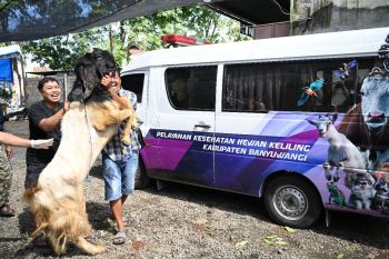 Jelang Idul Adha, Dispertan Banyuwangi periksa kesehatan hewan kurban di lapak pedagang