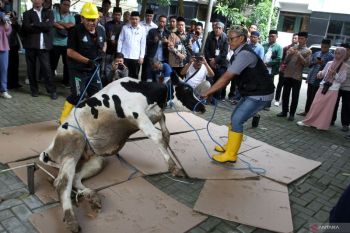 Kumpulan ucapan Idul Adha 2025 yang penuh makna dan menyentuh hati
