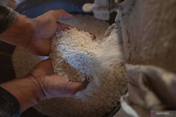 Indonesia to export premium rice for Hajj pilgrims in Saudi Arabia