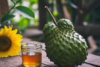 9 Fakta menarik resep Sirsak dan Madu untuk terapi kanker yang terbukti ilmiah