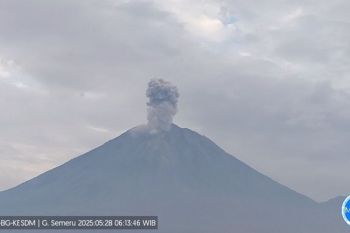 Gunung Semeru kembali erupsi dengan letusan setinggi 1.200 meter