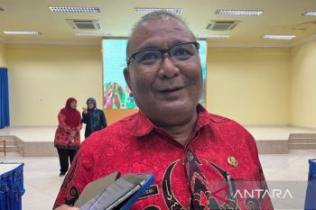 Pemkab Jayapura gandeng LSM untuk tingkatkan produktivitas tanaman kakao