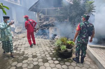 Cegah wabah DBD, Pemkab Lumajang lakukan fogging di pesantren