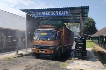 Badan Karantina Bali cek lalu lintas sapi kurban jelang Idul Adha
