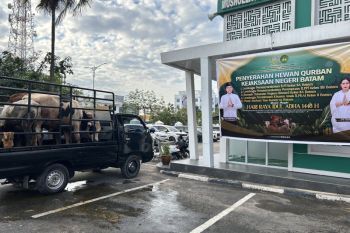 Lapas Batam dapat bantuan sapi kurban dari Kejari wujud sinergitas