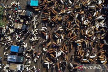 Sumbangsi hewan kurban terhadap nilai ekonomi Indonesia