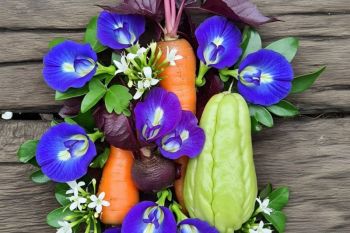 7 Ramuan herbal terbukti untuk atasi mata minus dan silinder