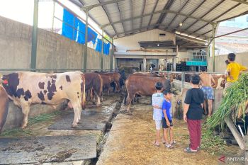 DPKHP Cianjur memastikan 5.501 hewan kurban sehat dan layak potong