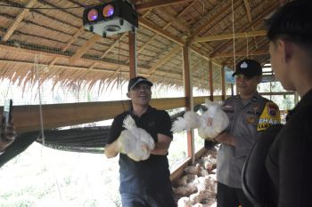 Tinjau usaha peternakan ayam potong, Wabup Santoso sebut upaya dorong kemandirian ekonomi