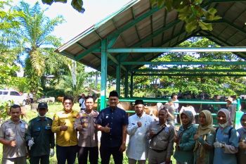 Pemkab-Polres Pasaman Barat pantau dan cek kesehatan hewan kurban