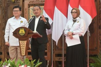 PLN siap listriki 780 4ibu rumah tangga lewat Program Lisdes 2025--2029