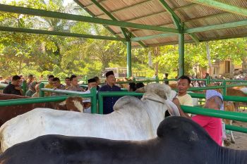 Polres Pasaman Barat galakan ronda cegah pencurian  hewan ternak