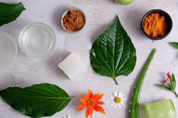 10 Tanaman obat ampuh untuk mata merah dan iritasi