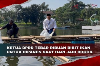 Ketua DPRD tebar ribuan bibit ikan untuk dipanen saat Hari Jadi Bogor