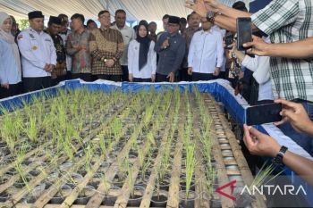 Mendes PDT dan Ustadz Adi Hidayat kenalkan solusi olah padi terapung