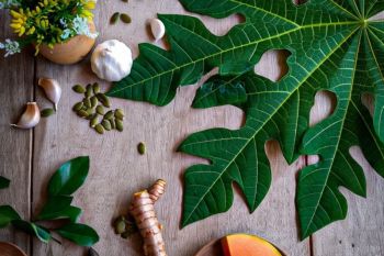 5 Tanaman obat cacingan pada anak yang ampuh dan alami