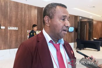 PPNI: Tenaga perawat di Papua pilar penting layani kesehatan warga kampung