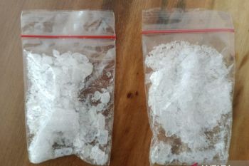 Lawmaker praises Jakartapolice for dismantling cross-border drug ring