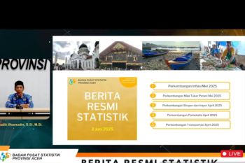 Cabai merah sumbang deflasi Aceh Mei sebesar 0,59 persen