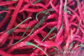 Harga cabai merah penyebab utama deflasi Aceh di bulan Mei