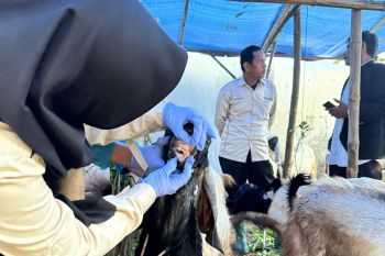 Pemkab Lamongan intensifkan pemeriksaan hewan kurban jelang Idul Adha