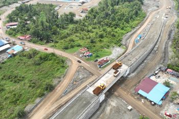 Tak Sekadar Tambang, Vale Bangun Morowali Lewat Pertanian, Lingkungan, dan SDM Lokal