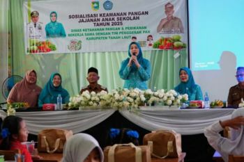 Ketua TP-PKK Tanah Laut tekankan pentingnya edukasi keamanan jajanan anak