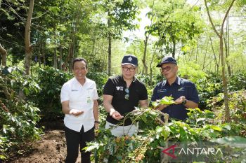 KBUMN apresiasi Turn Around Kopi PTPN di kawasan Ijen