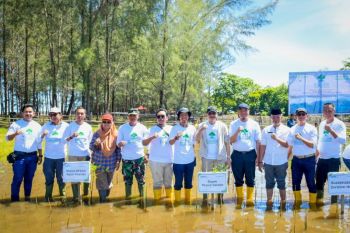 PTBA luncurkan "Bukit Asam Mangrove Nexus Initiative" menjaga pesisir