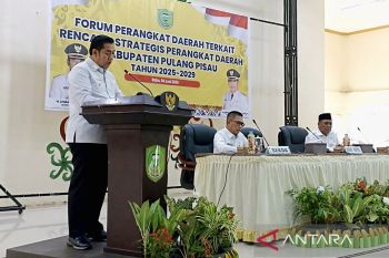 Pemkab Pulang Pisau susun rencana strategis 2025-2029