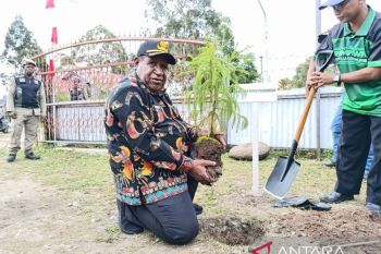 Pemprov Papua Pegunungan ajak generasi muda menanam pohon
