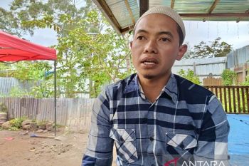 PHBI Jayawijaya sebut hewan untuk kurban Idul Adha 37 ekor sapi