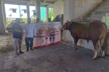 Gerindra Jatim distribusikan ratusan hewan kurban di 38 Kabupaten/Kota