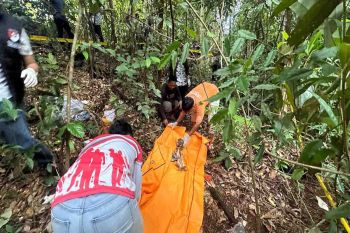 Tulang belulang manusia tak utuh ditemukan di hutan Palangka Raya