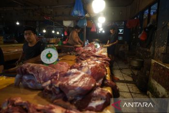 Pemkot sebut harga bahan pokok di Kendari stabil jelang Idul Adha