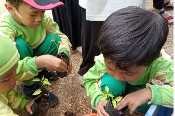 Gerakan Tanam Cabai Serentak dicanangkan di Mataram pada16 Juni 2025