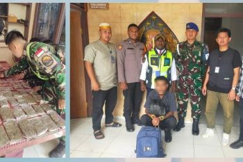 Avsec Bandara Sentani gagalkan aksi penyelundupan 93 paket ganja