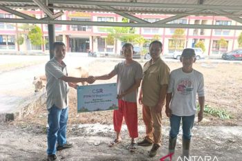 PalmCo Siapkan Ribuan Hewan Qurban