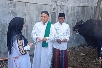 Wali Kota Bandarlampung serahkan sapi bantuan Presiden untuk masyarakat