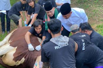 Polda Banten sembelih 137 hewan kurban, tekankan nilai pengabdian