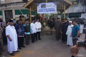 Pemkot Balikpapan serahkan sapi Presiden ke Masjid Besar Al Ula