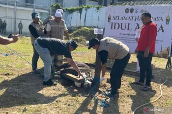 Lapas Balikpapan jadikan kurban sebagai momentum kebersamaan
