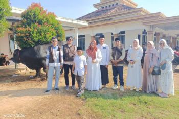 Bupati Lampung Timur ucapkan terima kasih atas kurban sapi Presiden Prabowo